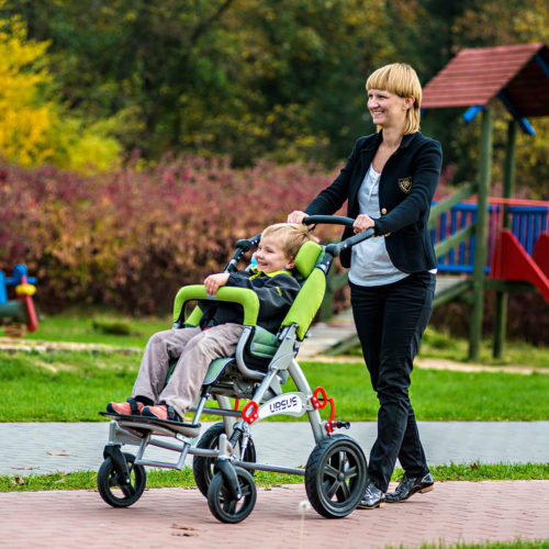 Rehabilitačné kočíky a vozíky